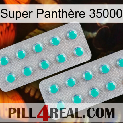 Super Panthère 35000 29